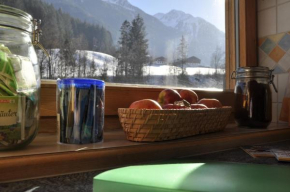 Anitas Gernkogelblick, Wald Im Pinzgau, Österreich